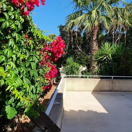 The Little House Prázdninový dům *