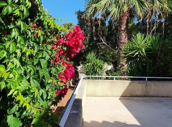 The Little House Prázdninový dům *