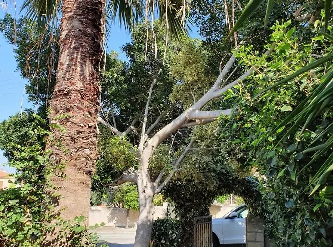 The Little House Prázdninový dům *